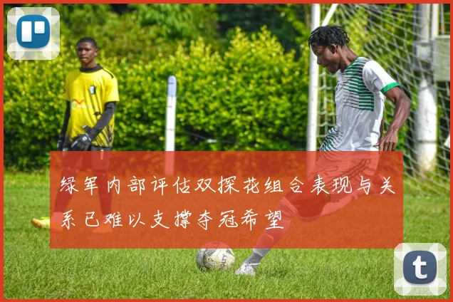 绿军内部评估双探花组合表现与关系已难以支撑夺冠希望
