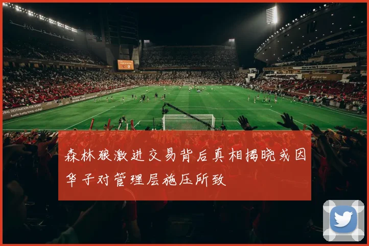 森林狼激进交易背后真相揭晓或因华子对管理层施压所致
